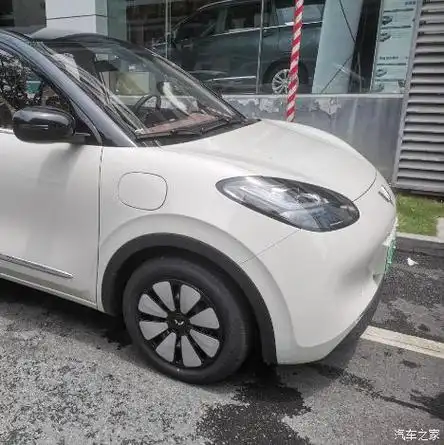 【图】五菱缤果新能源电动车_五菱缤果论坛_汽车之家论坛