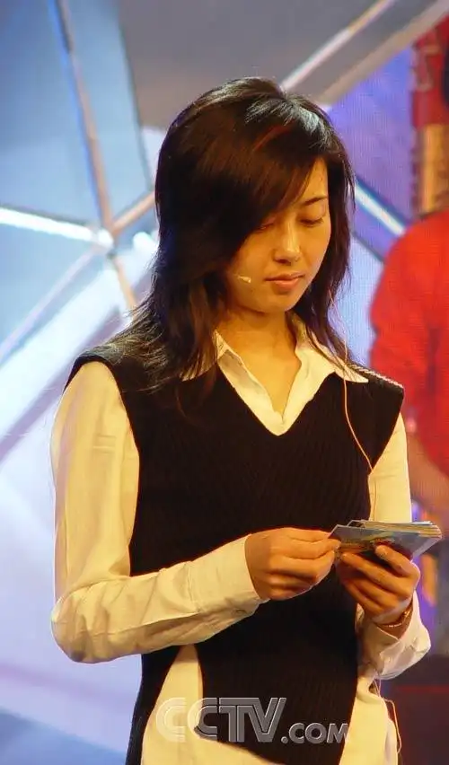 中央电视台—李红