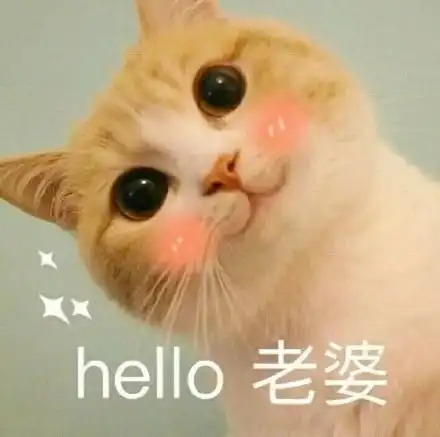 hello老婆_hello_老婆表情