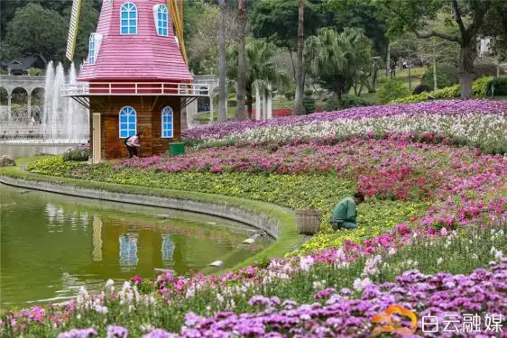 放假通知广州踏青赏花好去处get