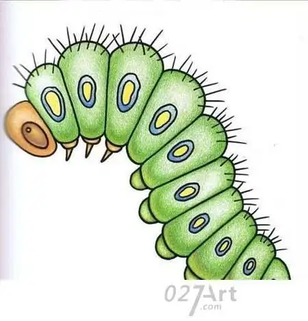 毛虫简笔画毛毛虫简笔画画法最后涂上漂亮的颜色毛毛虫简笔画你学会了