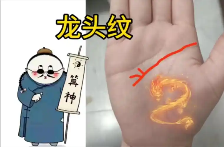 手相-龙头纹