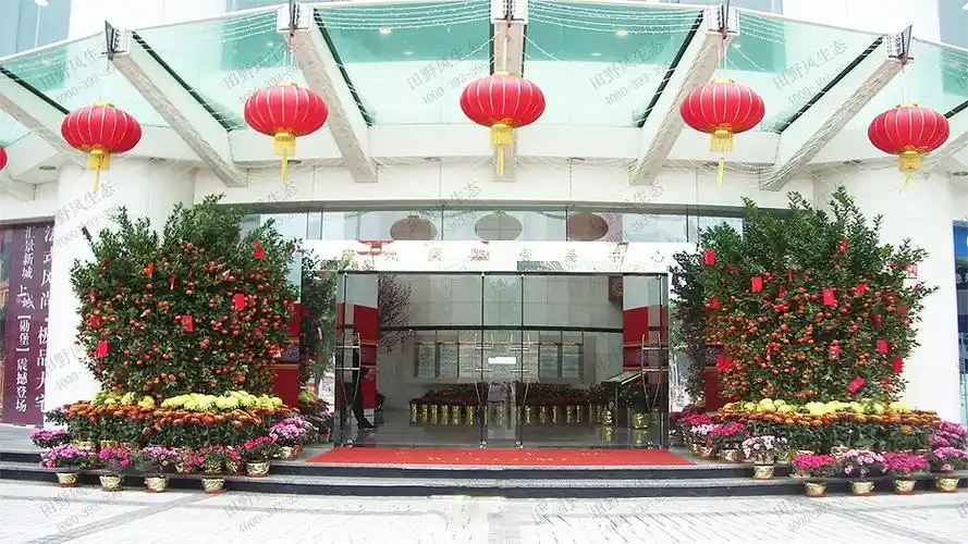 机关单位年花订购方案