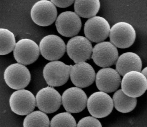 单分散二氧化硅微球
