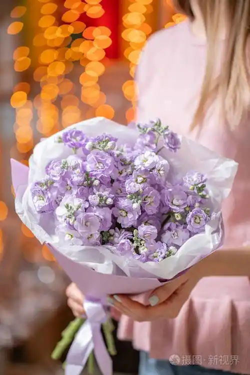 一束美丽的丁香花在女人手中花店概念美丽的鲜切花束送花背景上有花环