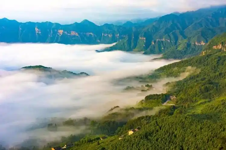 金佛山户外运动季世遗美景金佛山夏季旅游来南川