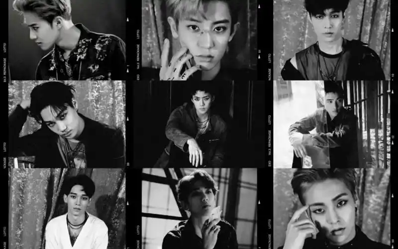 【exo-lotto】到谁的part换谁直拍(九人版)