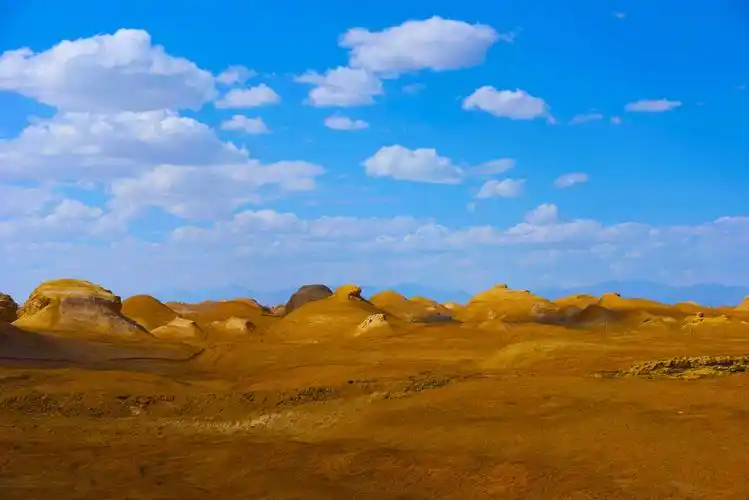 大西北沿途风景