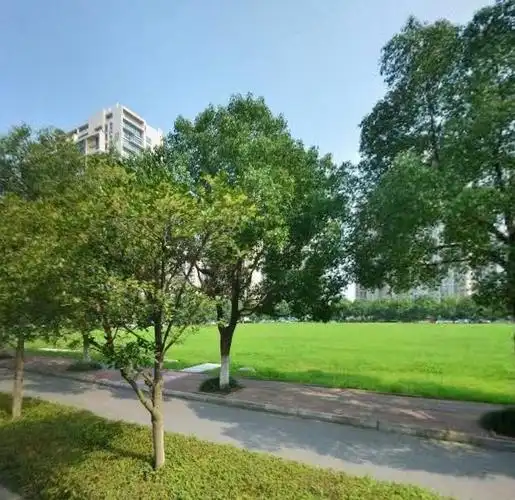 苏州园区星汇生活广场诞生记