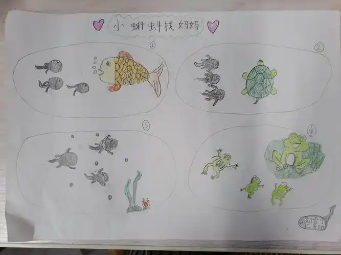 鹤翔小学二五班"我为课本绘插图"之《小蝌蚪找妈妈》