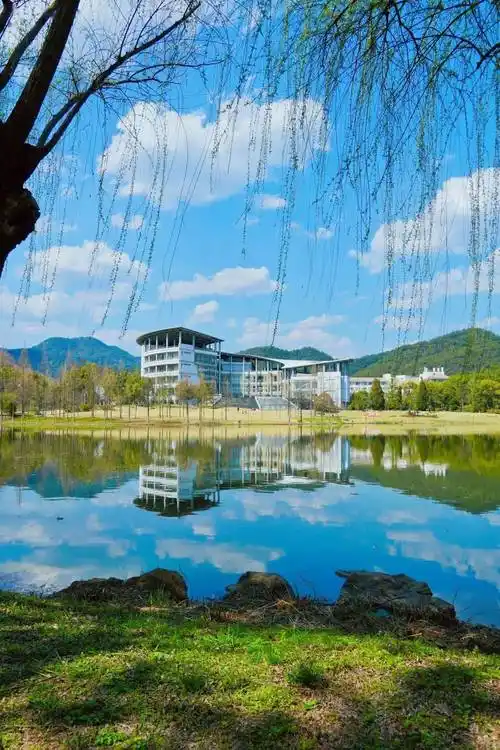 春天在哪里?春天就在浙江农林大学的校园里~~_花瓣_玉兰_光影