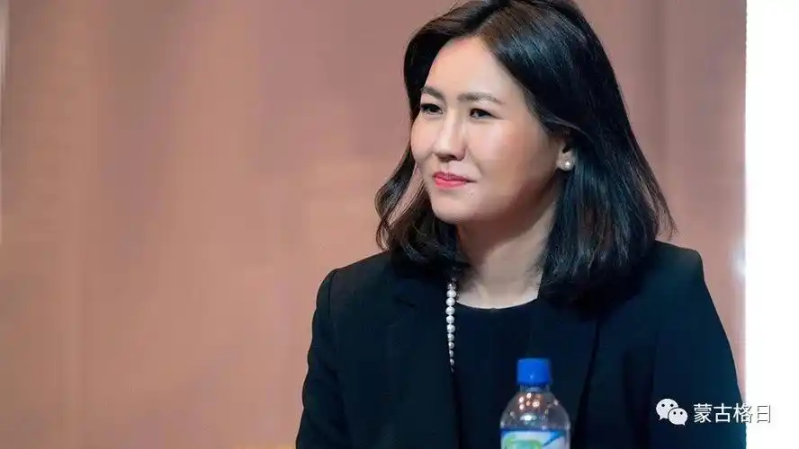蒙古国"女首富"彭斯勒玛竞选议员,个人收入异常"惊人"