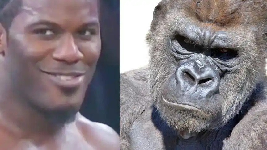 黑人摔角大赛被批太假,邪魅一笑竟意外成为最红表情包!