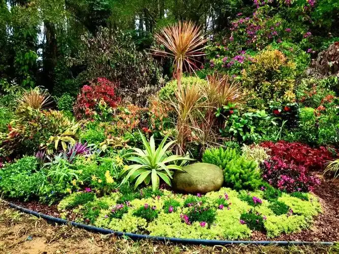 风景园林学院专业教师的花境设计作品实景亮相中科院华南植物园