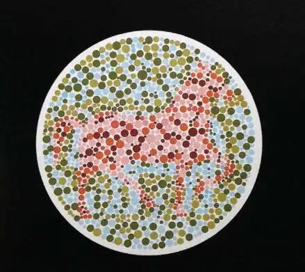 5张色盲测试图,要是第一张都看不出,那可能无缘方向盘了,可惜