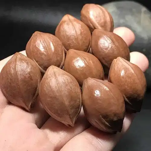 橄榄核原核 手串梅林铁头核鹰嘴鲨鱼背原皮原料手串原籽素珠手链 1.