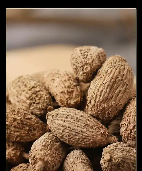 正宗阳春砂仁500克中药材香砂仁川砂仁砂仁果当季无硫新货竹叶茶