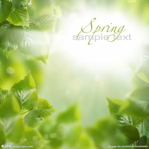 春天背景图片