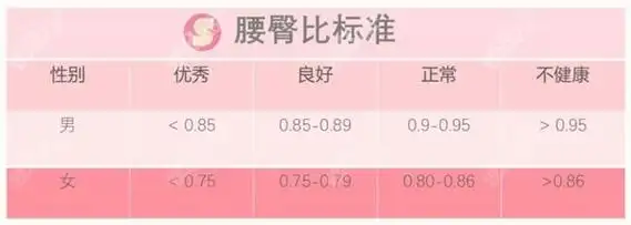 腰臀比男女生的标准对比