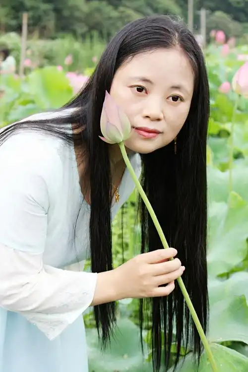 荷花是圣洁美丽的象征,她出污泥而不染,洒清香而天然独秀,极玲珑又