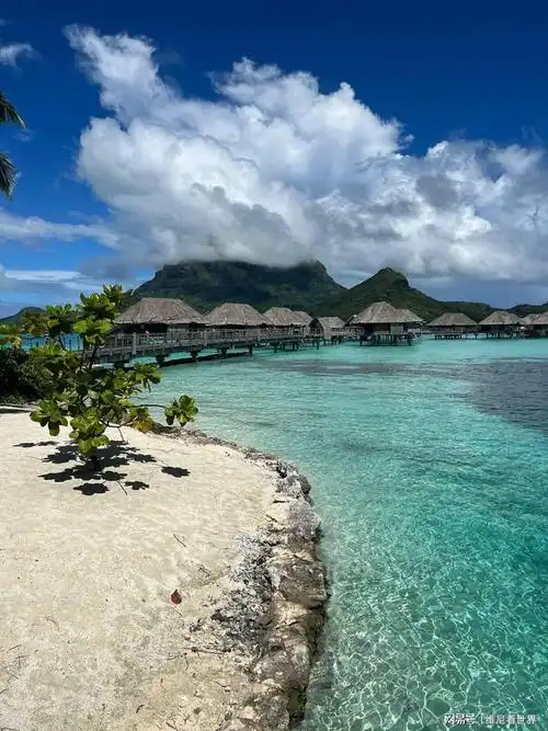 波拉波拉岛,圆梦之旅|沙滩|四季|水屋|夏威夷_网易订阅