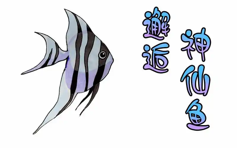 绘画硬币 收藏 分享 开始时间 将视频贴到博客或论坛 视频地址复制