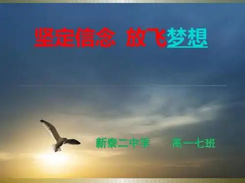 励志主题班会《坚定信念-放飞理想》