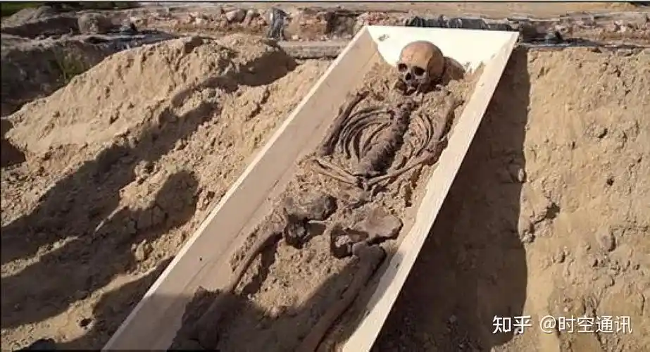 人死后,尸体就开始进入了腐败程序,在自然环境下,这个过程也叫分解.