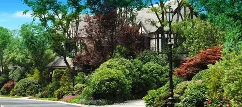 600p植物造景意向图用得着就留着