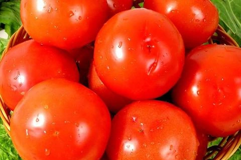 痛风是常有的,但为什么吃西红柿能减轻?