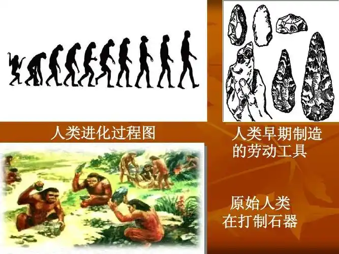 人类进化过程图 人类早期制造 的劳动工具 原始人类 在打制石器