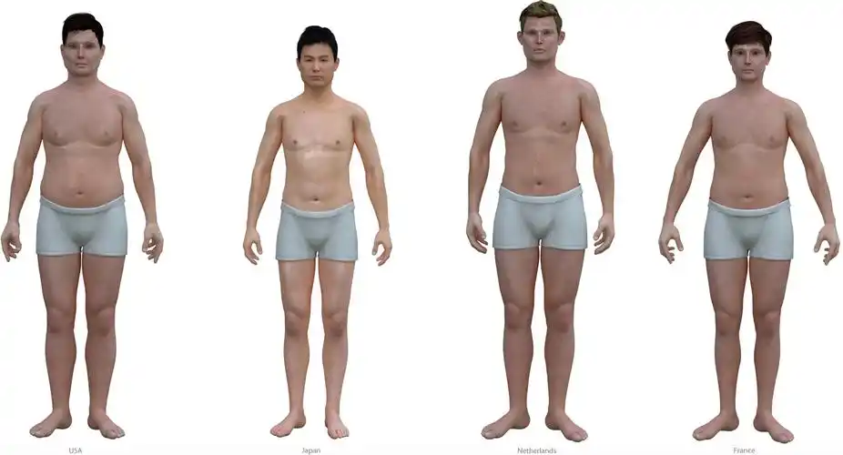 世界男性平均身体比例 原来身材都差不多