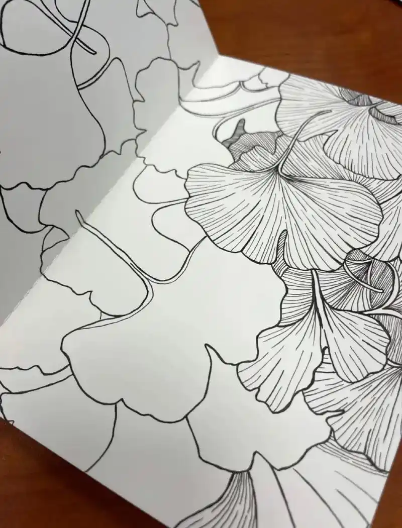 今日分享绘画过程