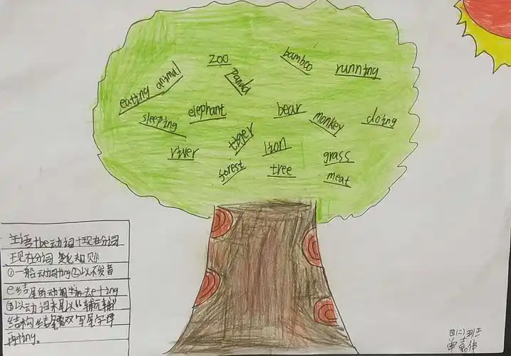 四二班英语思维导图鉴赏