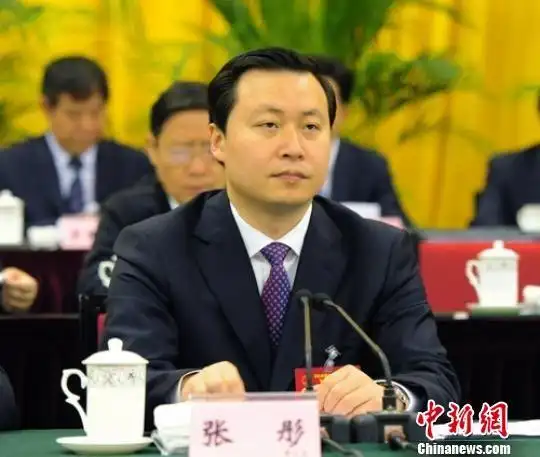 张彤当选四川乐山市人民政府市长图