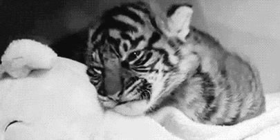 汕头连端4家非法印染黑工厂抓获13名环境违法人员严