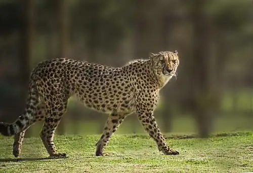 走在非洲最南端(非洲之一)