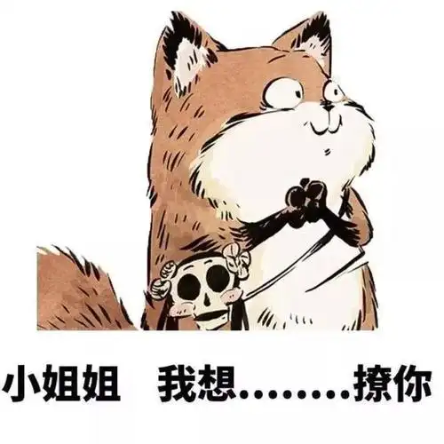 撩妹表情拿去撩小姐姐