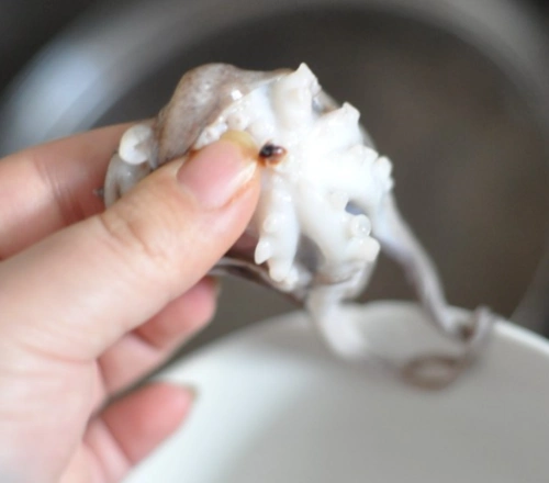 小八爪鱼嫩内脏能吃吗 五个步骤有效快速清洗八爪鱼