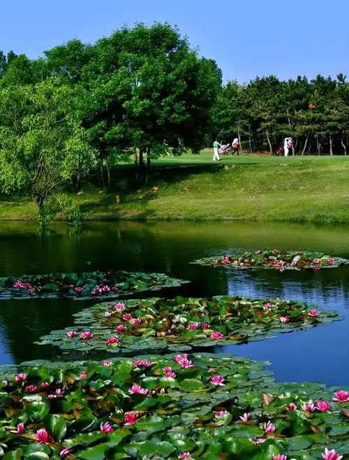 35张图片带你回顾烟台的夏天