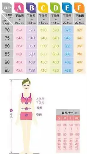 教程 电商培训文胸尺码对照表,文胸的尺码,胸罩的尺寸, 34 36 38 a b