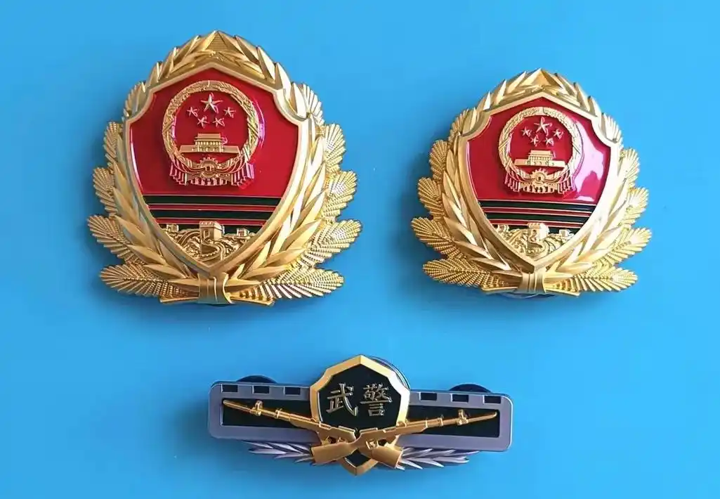 武警部队帽徽,胸标的变化 - 抖音