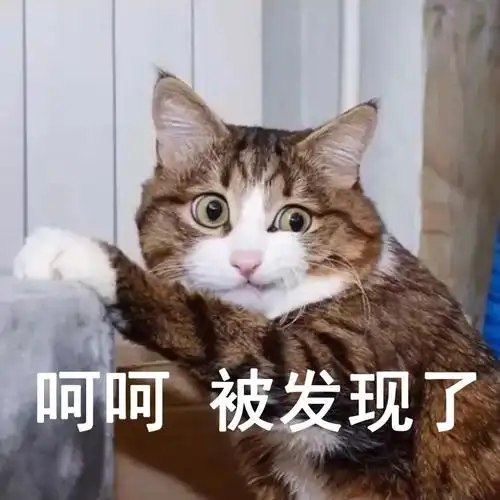 萌宠猫星人呵呵被发现了搞怪逗gif动图_动态图_表情包下载_soogif