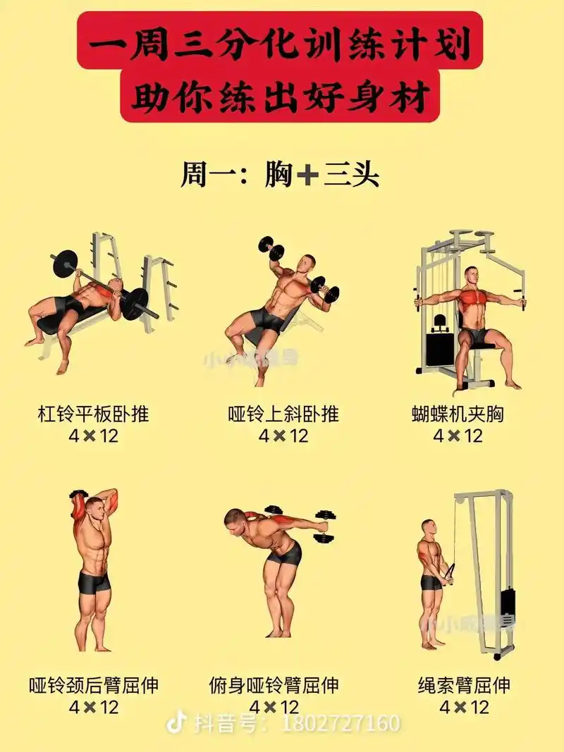 4×15 4×10 4×12 4x12 仰卧臂屈伸 杠铃划船 - 抖音