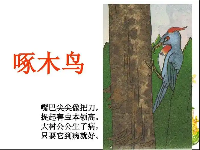 2015年秋沪教版语文一年级上册第2单元第14课《啄木鸟》教学课件1ppt