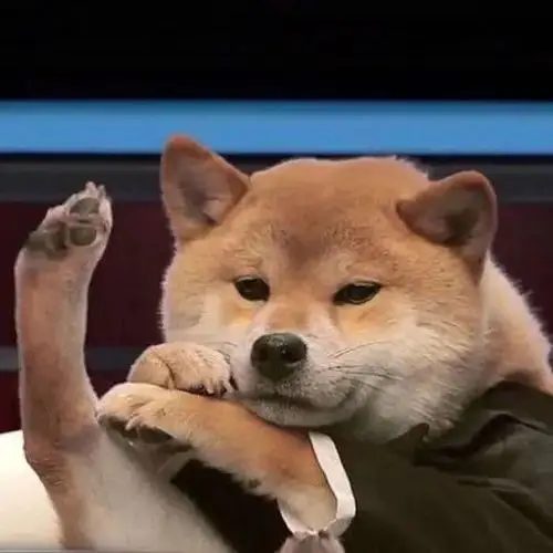 头像丨男生身处泥泞遥看满山花开