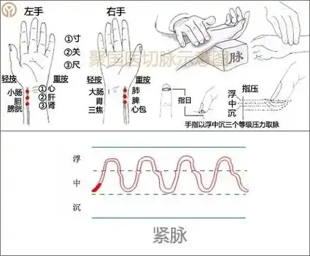 中医"喜脉"咋摸出来的?原理其实很简单!附28张中医脉诊的动 - 抖音