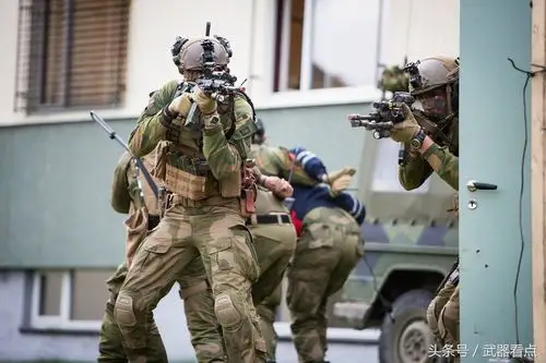 法国山地突击队和伞兵10队特种部队的高清相片