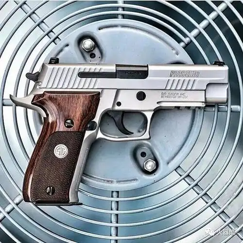 【粗壮汉子】西格绍尔 p226手枪图集_网易订阅