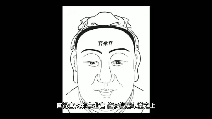 活动作品面相之官禄宫
